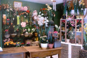 Interior de La Casa de las Flores